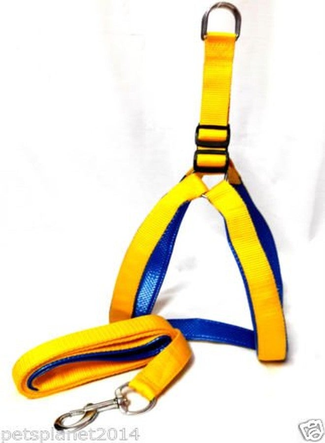 Ocean Wave Petsplanet Yellow Nylon Dog Harness with Soft Blue Padding 1 inch Medium Size - Image 2